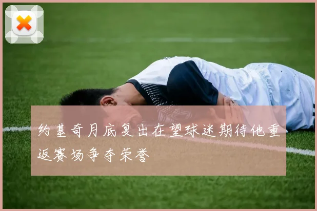 约基奇月底复出在望球迷期待他重返赛场争夺荣誉